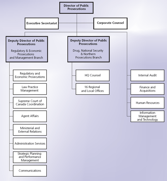 Current Organizational Structure
