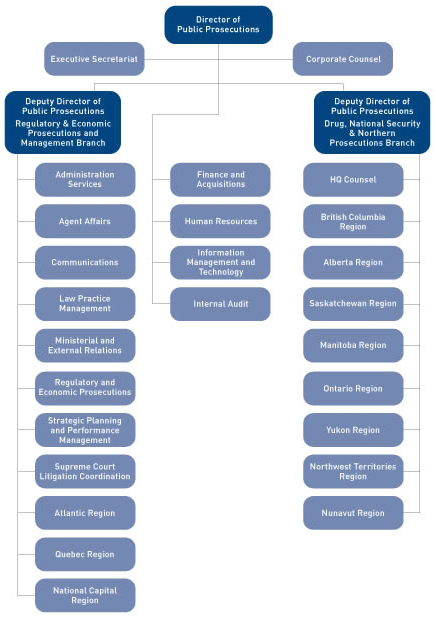 Organizational Structure