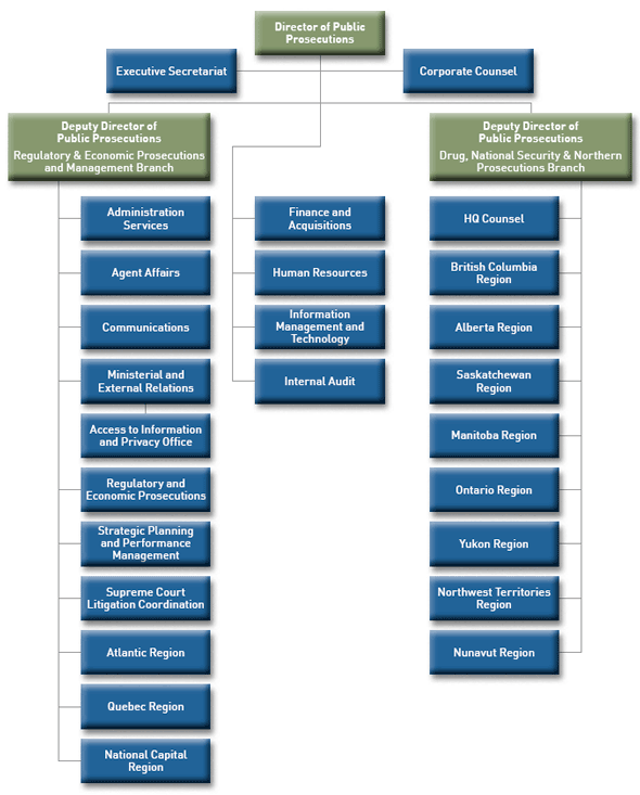 Organizational Structure