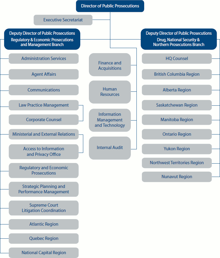 Organizational Structure graphic