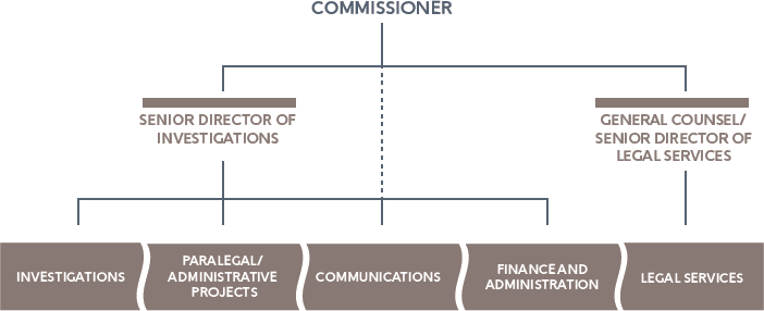 Organizational Structure graphic