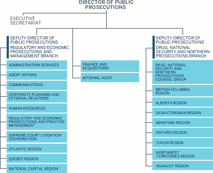 Organizational Structure graphic