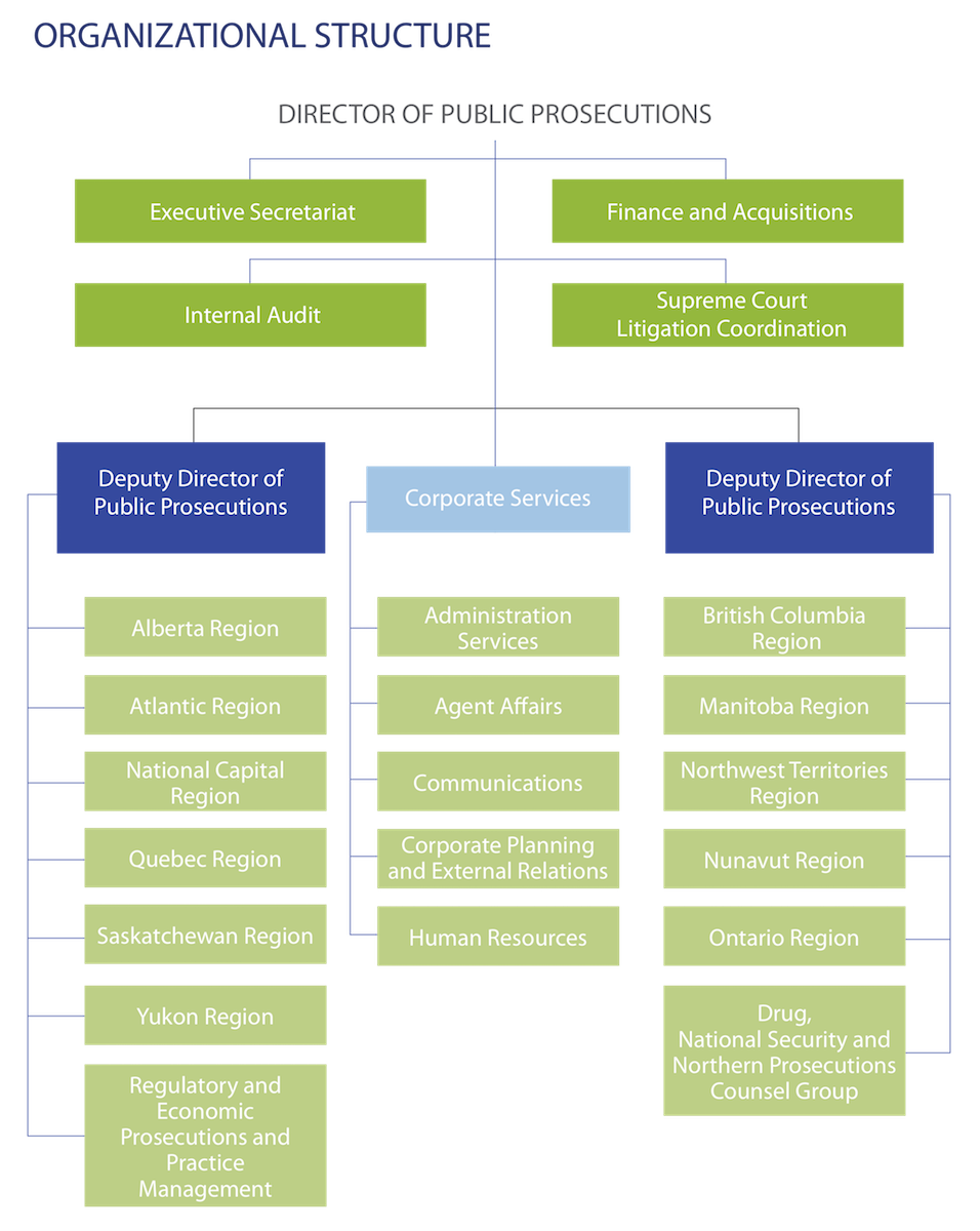 Organizational Structure graphic